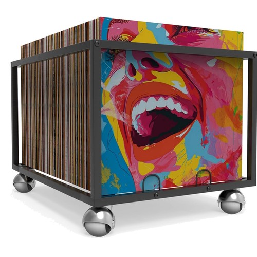 Vinyl storage regal organizer - vinyl,
