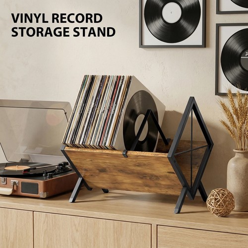 2026 vinyl record - 2026,
